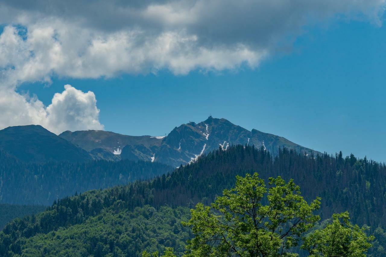 Willa Rychlina Zakopane Exteriör bild
